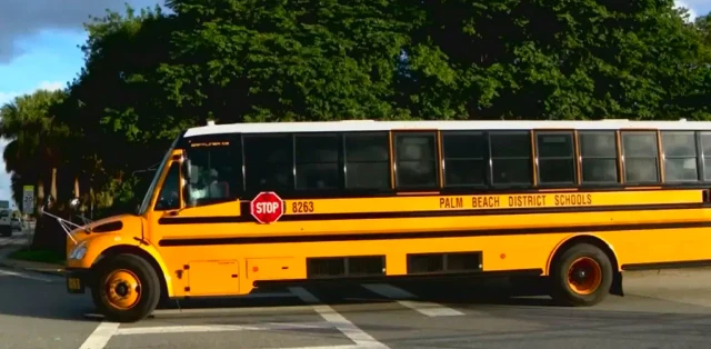 A yellow school bus on the road, surrounded by greenery and clear blue skies.
