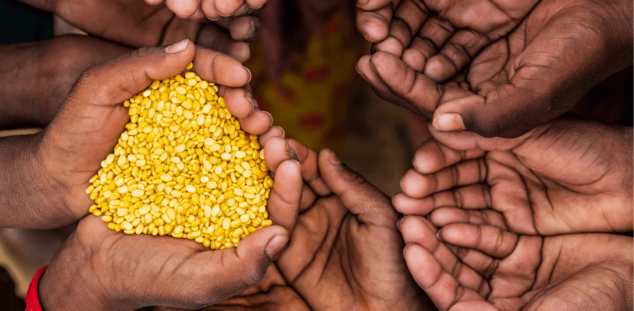A pair of hands, surrounded by numerous hands, holding grains symbolizing hunger.